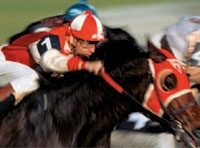 seabiscuit 2