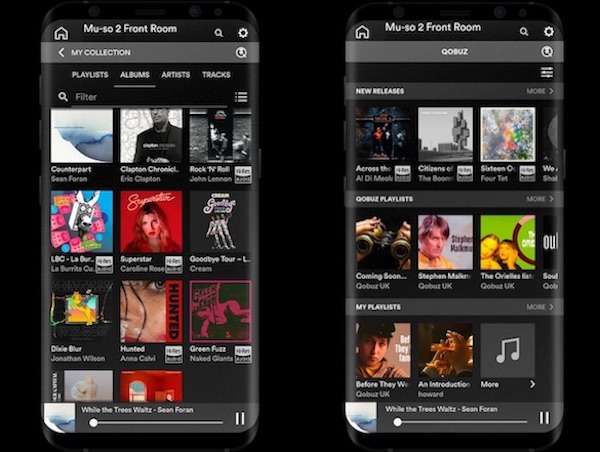 qobuz download qobuz download