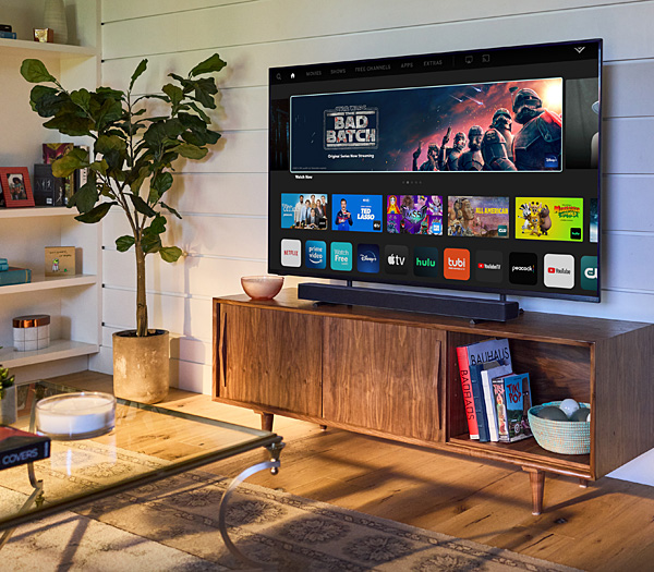 1121vizio.life