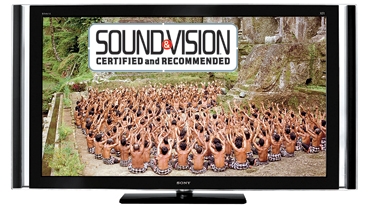 NEW Sony CRU-55SG11T Brown Speaker Grill for KDL-55XBR8 