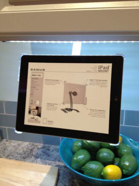 ipad mounts multiply like rabbits. (although you can't use a rabbit