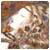 Karinafek's picture Karinafek's picture
