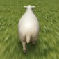 crazy cattle 3d github's picture crazy cattle 3d github's picture
