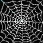 spidermum's picture spidermum's picture